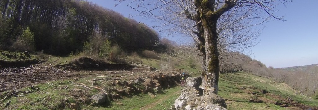 Remontée l'autre côté de la vallée