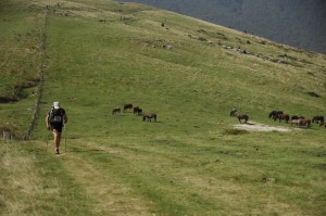 euskal trail 07 172 - copie 2