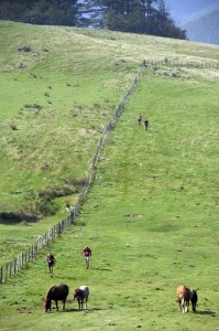euskal trail 07 198 copie